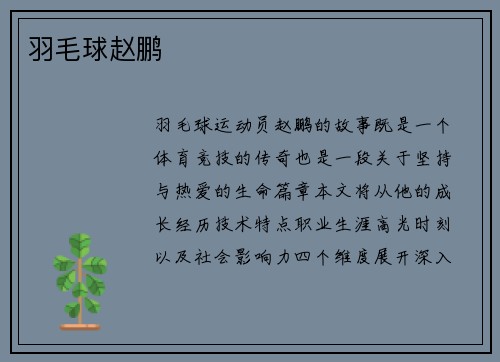 羽毛球赵鹏