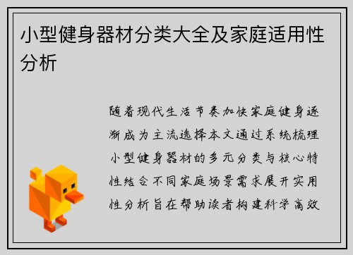 小型健身器材分类大全及家庭适用性分析